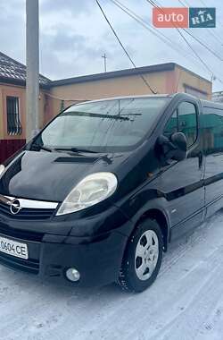 Минивэн Opel Vivaro 2011 в Вознесенске