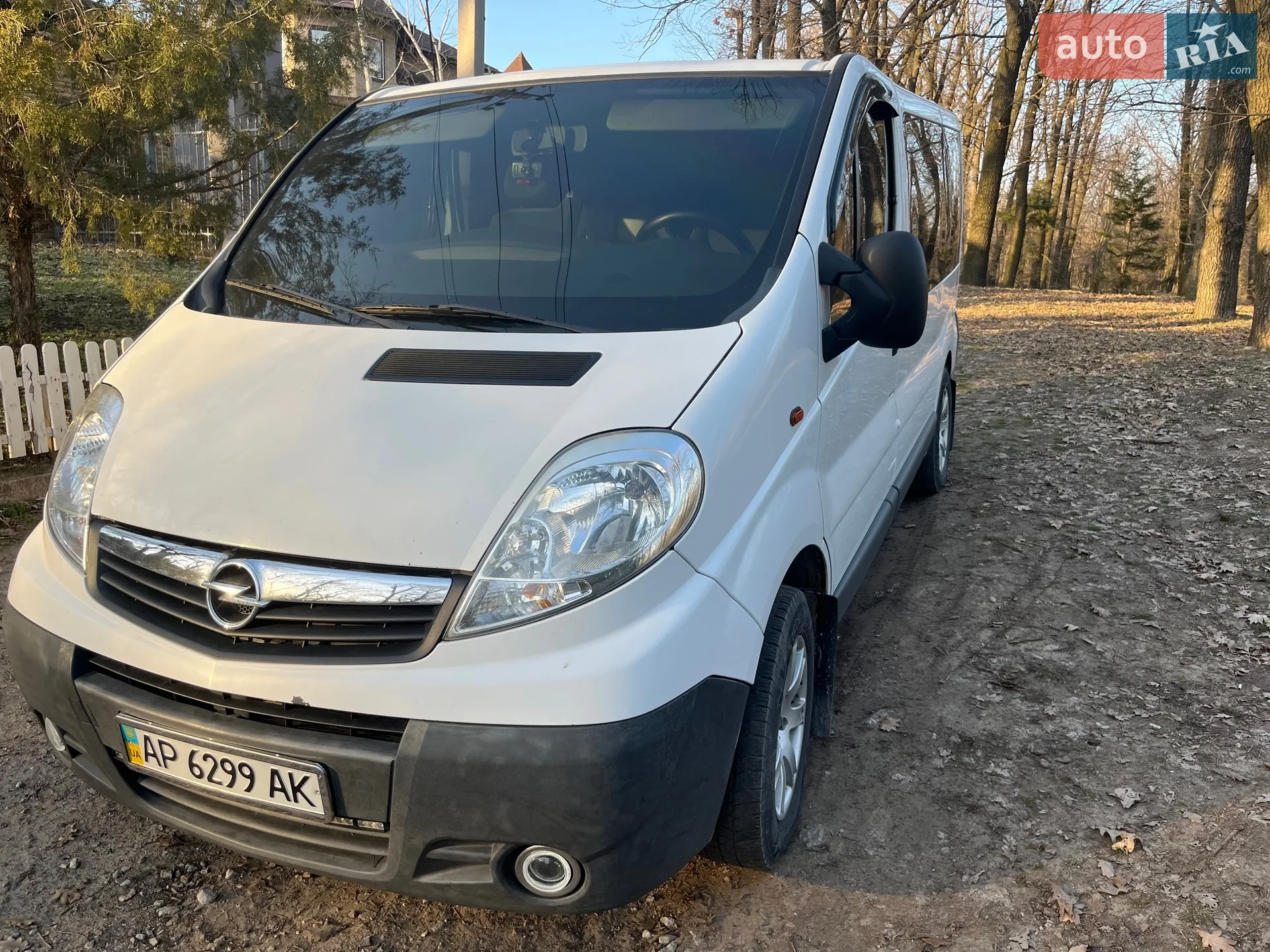 2010 Opel Vivaro - мініатюра 10