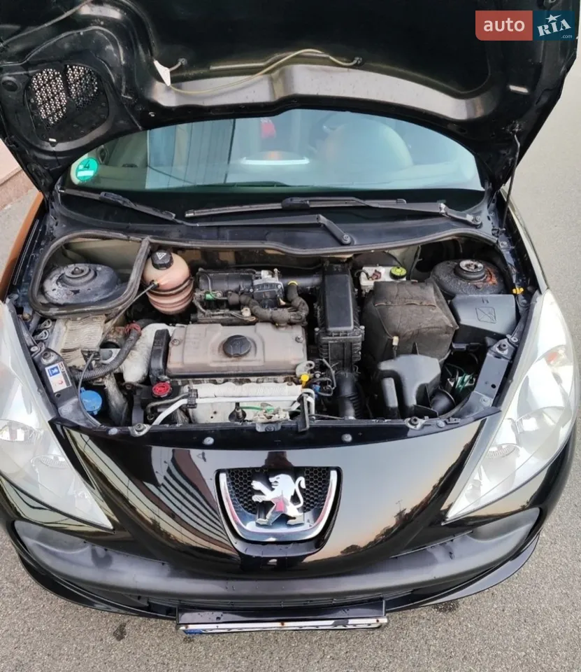 2010 Peugeot 206 - мініатюра 12