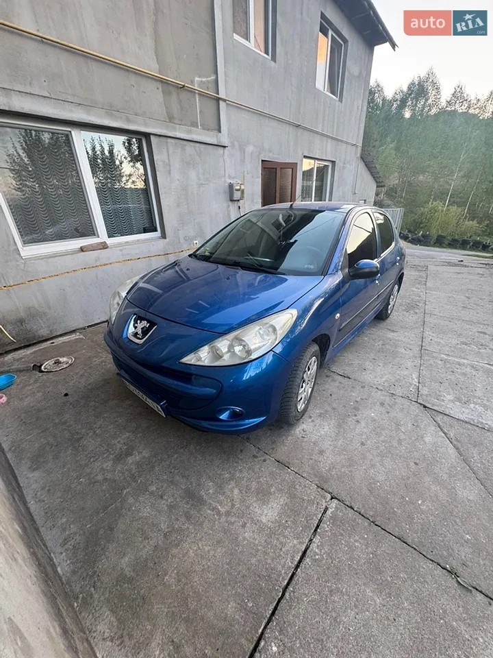 2010 Peugeot 206 - мініатюра 11