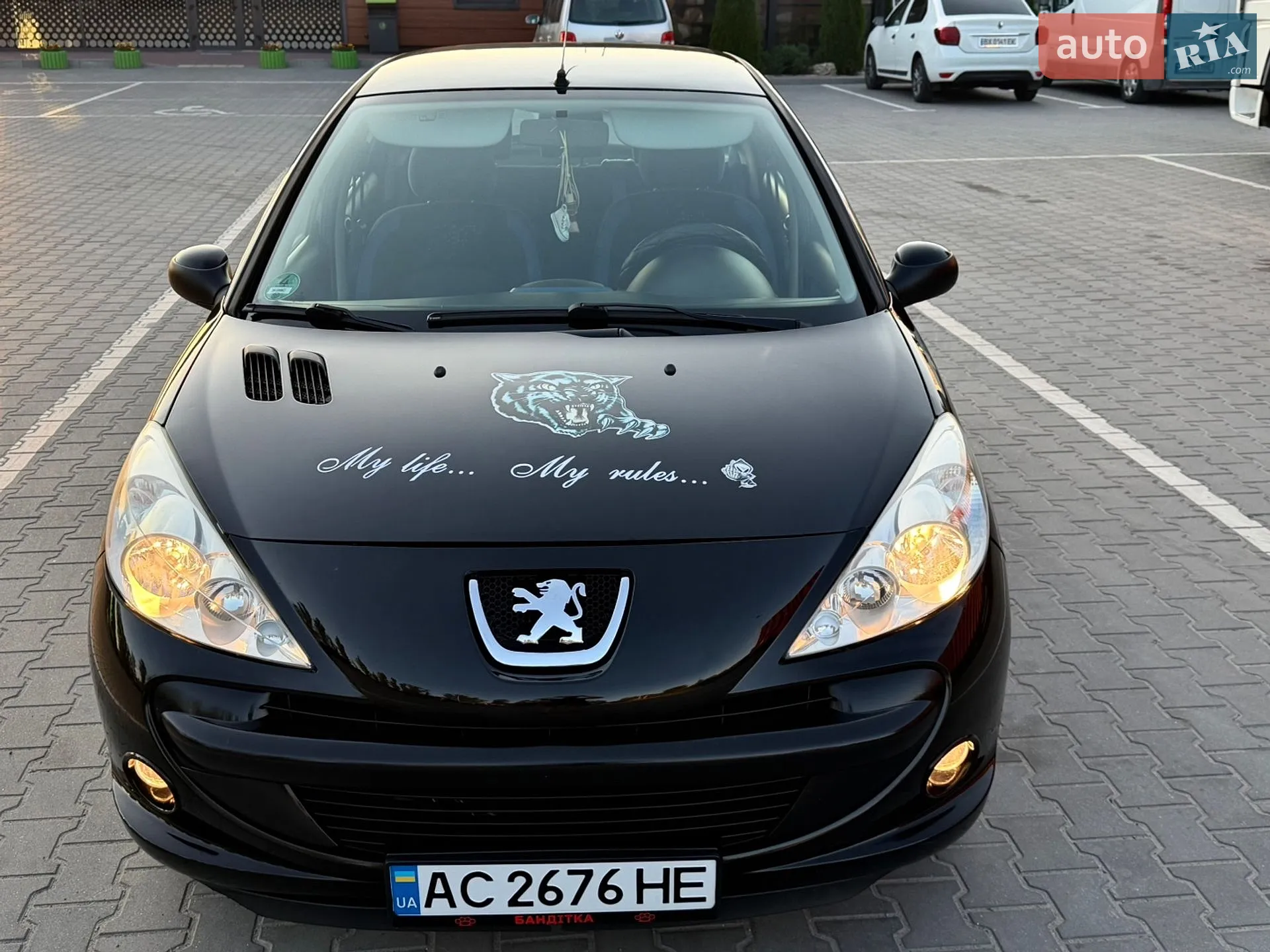 2010 Peugeot 206 - мініатюра 17