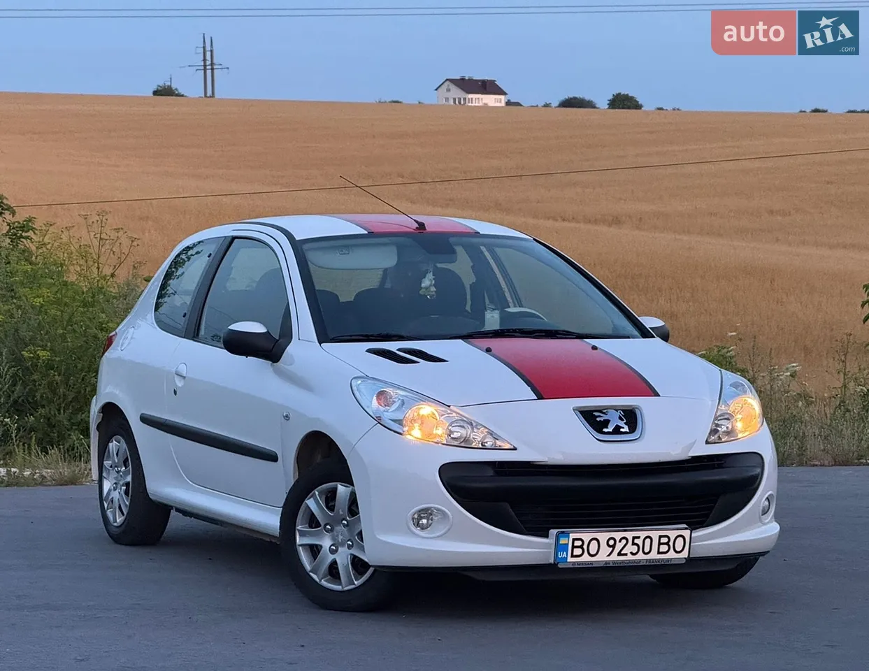 2010 Peugeot 206 - мініатюра 14