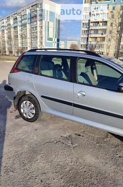 Универсал Peugeot 206 2003 в Каменском