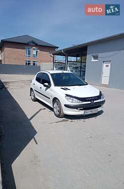 Хетчбек Peugeot 206 2007 в 