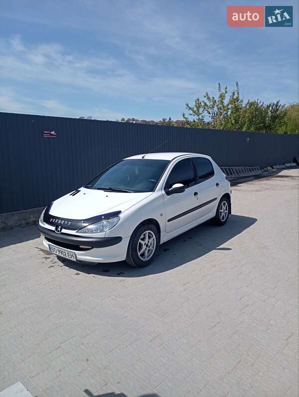 Хэтчбек Peugeot 206 2007 в Збараже фото 9 Хэтчбек Peugeot 206 2007 в Збараже
