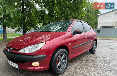 Хетчбек Peugeot 206 2007 в 