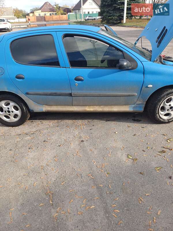 Хетчбек Peugeot 206 2001 в Дніпрі