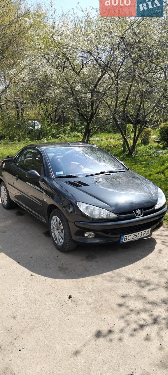 2006 Peugeot 206 - мініатюра 9