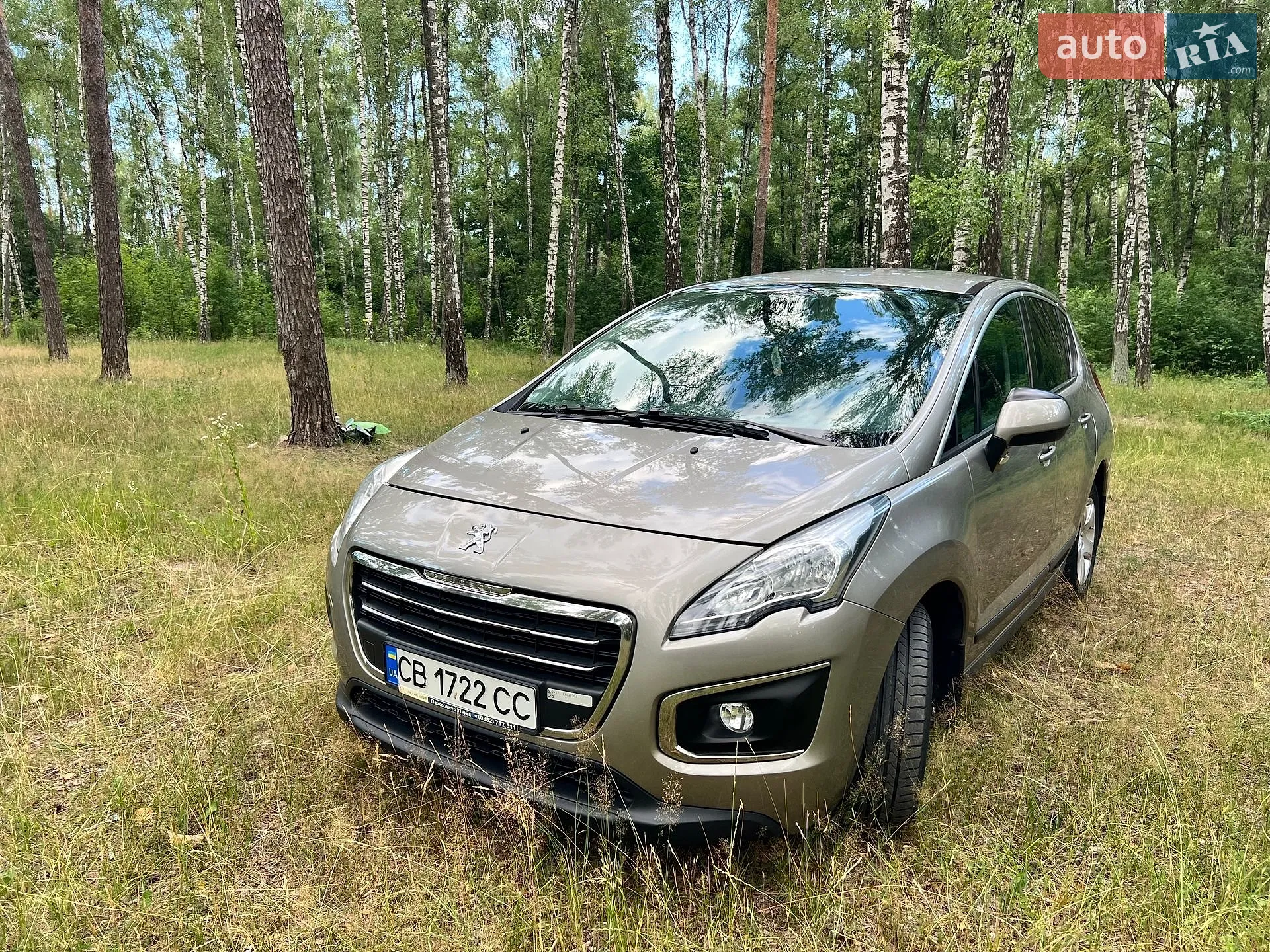 2014 Peugeot 3008 - фото 1