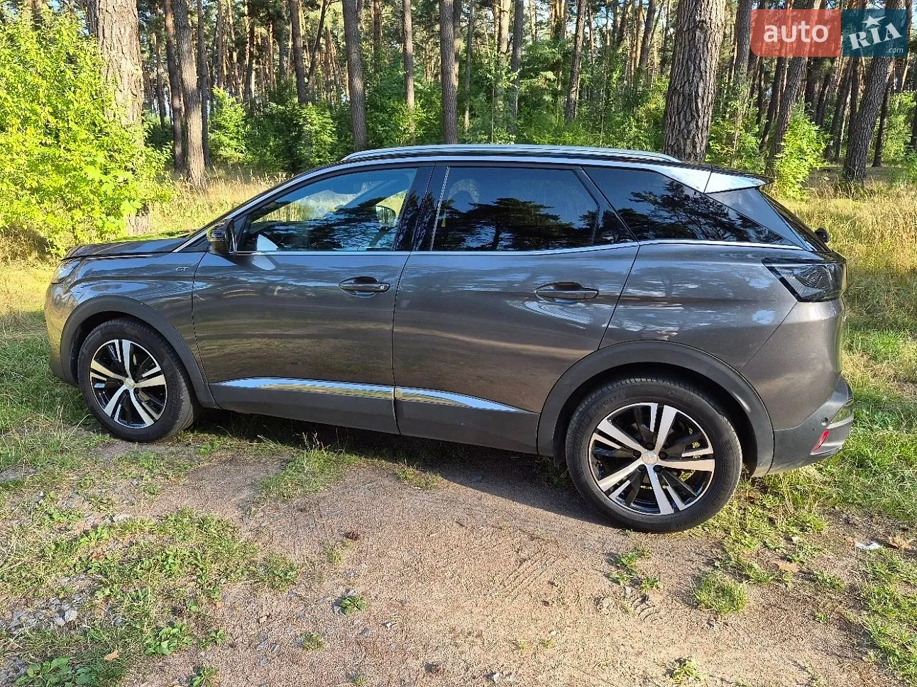2021 Peugeot 3008 - мініатюра 13