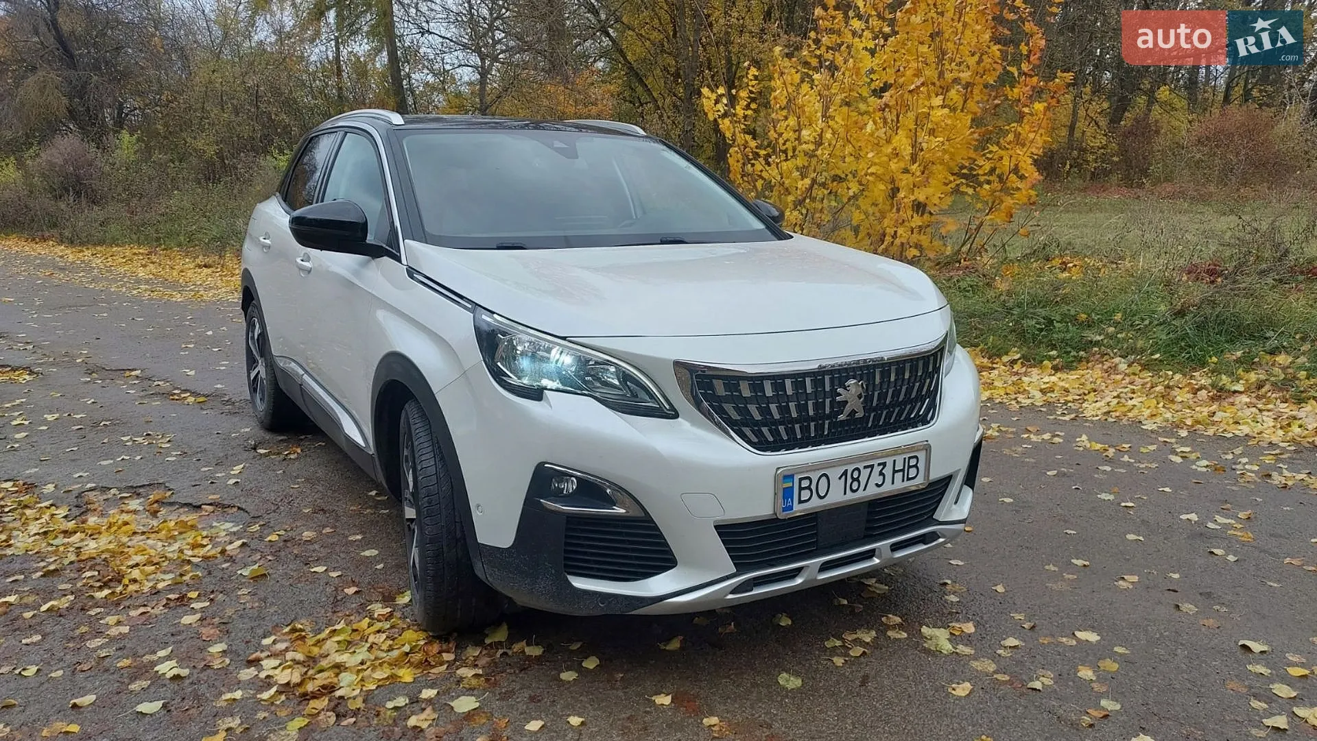 2017 Peugeot 3008 - мініатюра 8