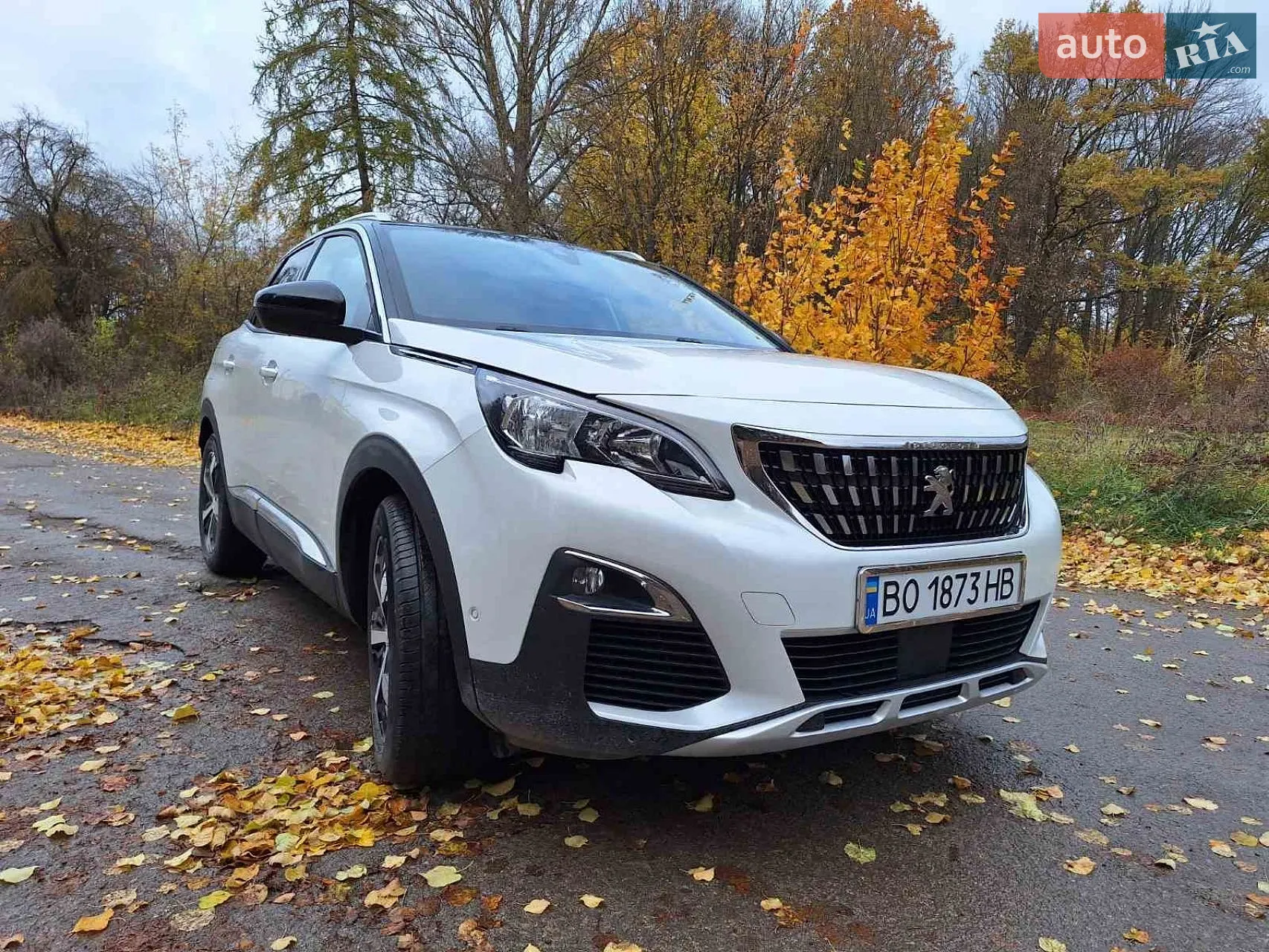 2017 Peugeot 3008 - мініатюра 9
