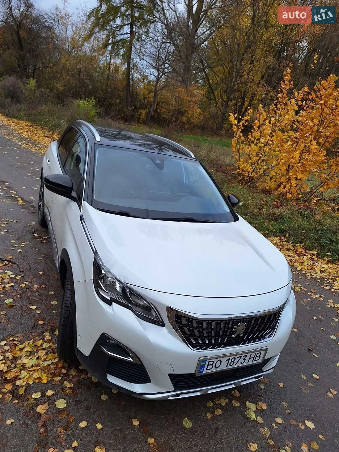 2017 Peugeot 3008 - мініатюра 12