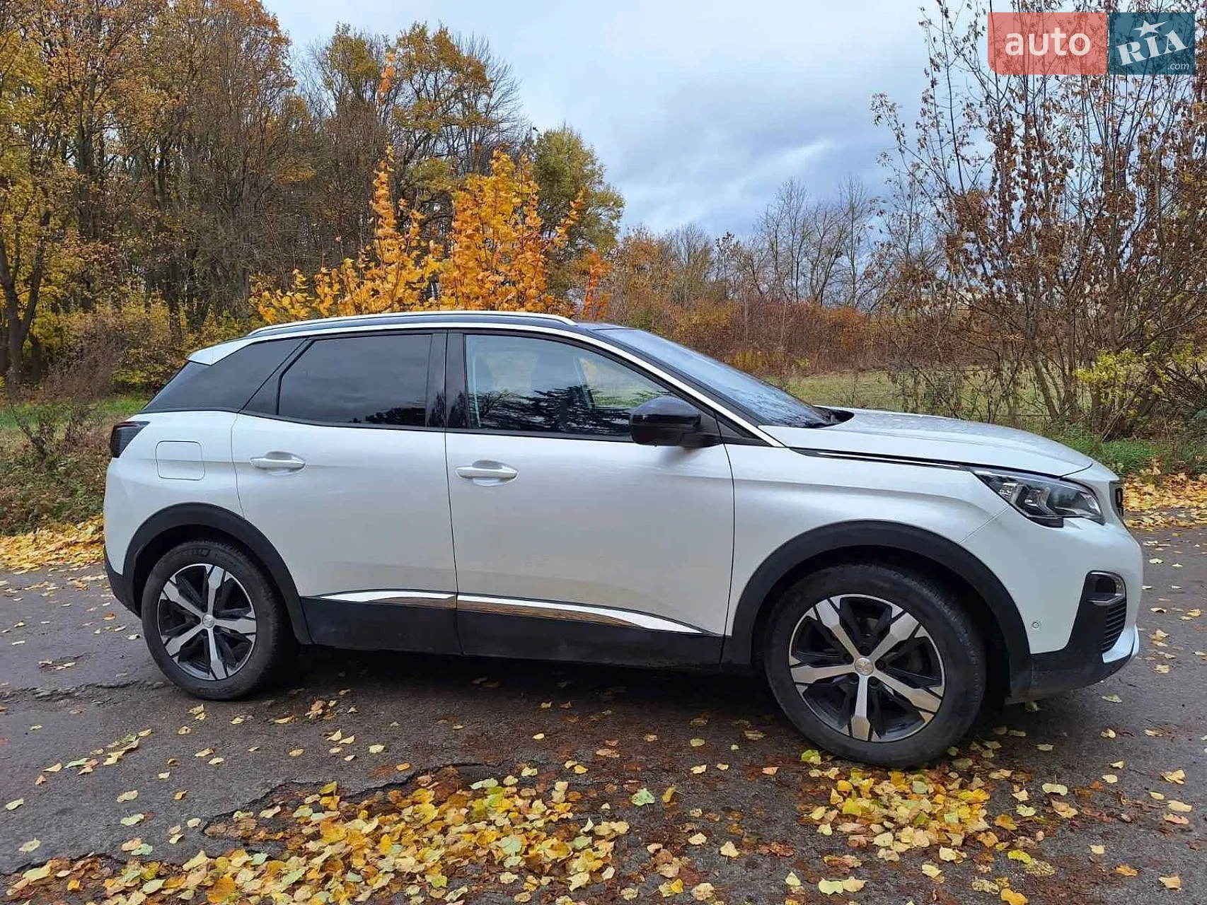 2017 Peugeot 3008 - мініатюра 16
