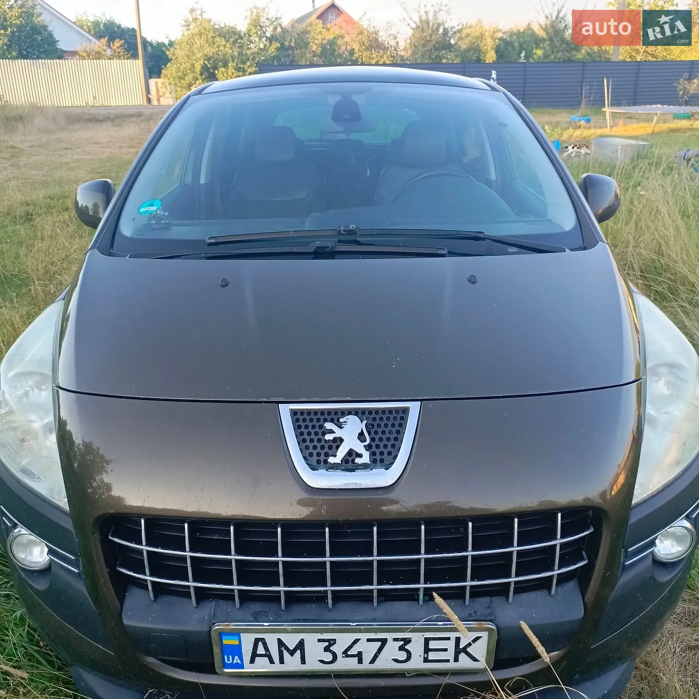 2010 Peugeot 3008 - фото 1