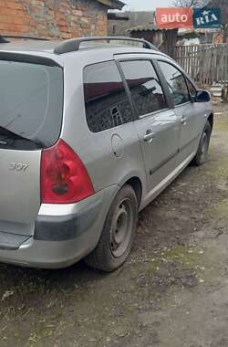 Универсал Peugeot 307 2003 в Корсуне-Шевченковском