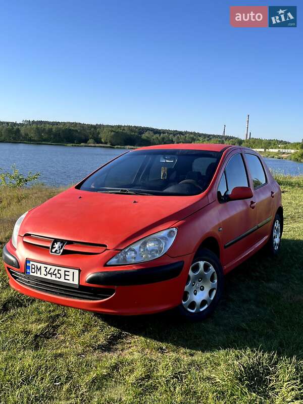 Хэтчбек Peugeot 307 2002 в Шостке