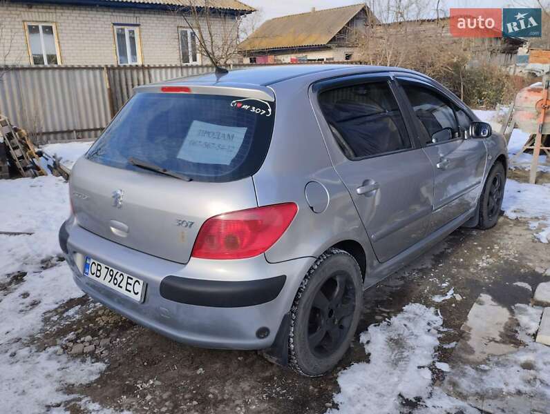 Хетчбек Peugeot 307 2003 в Носівці