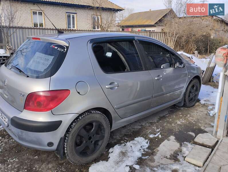 Хетчбек Peugeot 307 2003 в Носівці