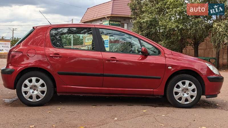 Хэтчбек Peugeot 307 2004 в Кривом Роге