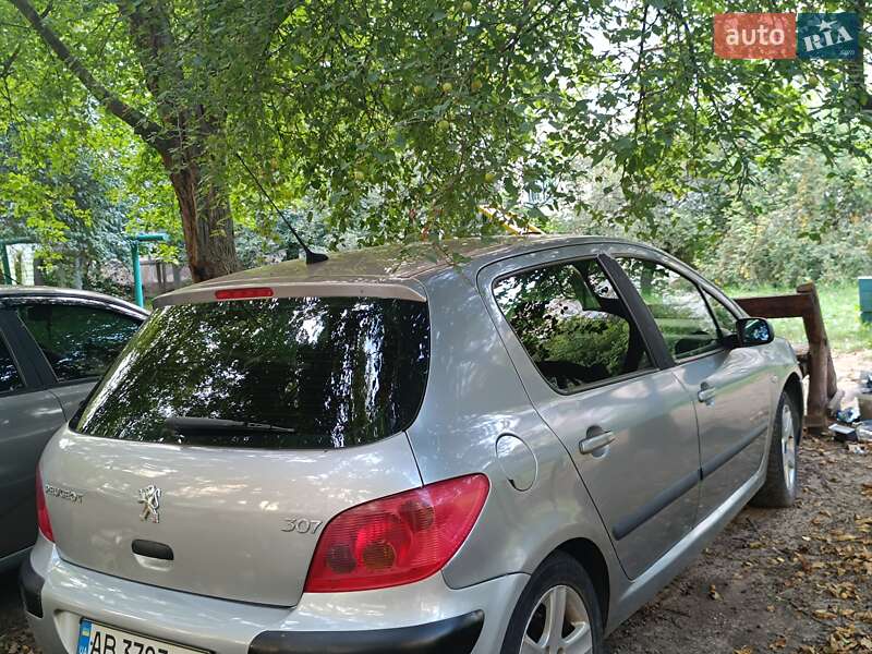 Хэтчбек Peugeot 307 2002 в Виннице