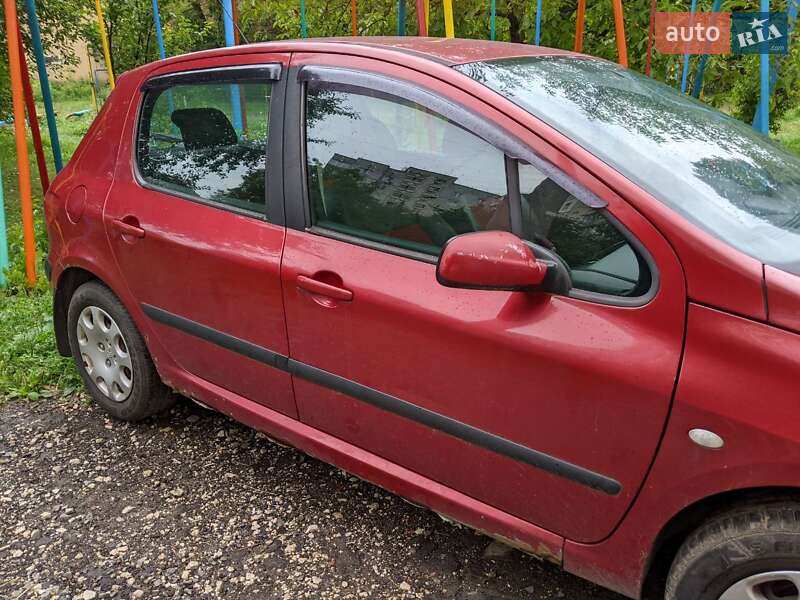 Хэтчбек Peugeot 307 2005 в Хмельницком