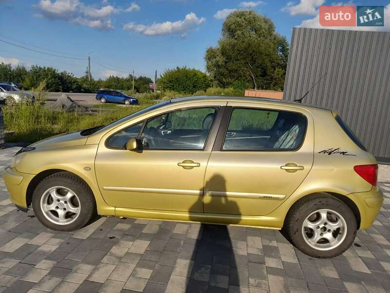 Хетчбек Peugeot 307 2004 в Шепетівці
