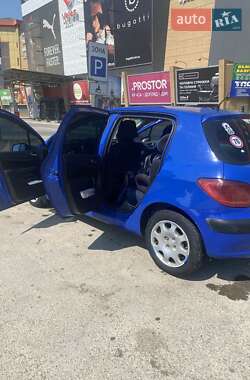 Хэтчбек Peugeot 307 2002 в 