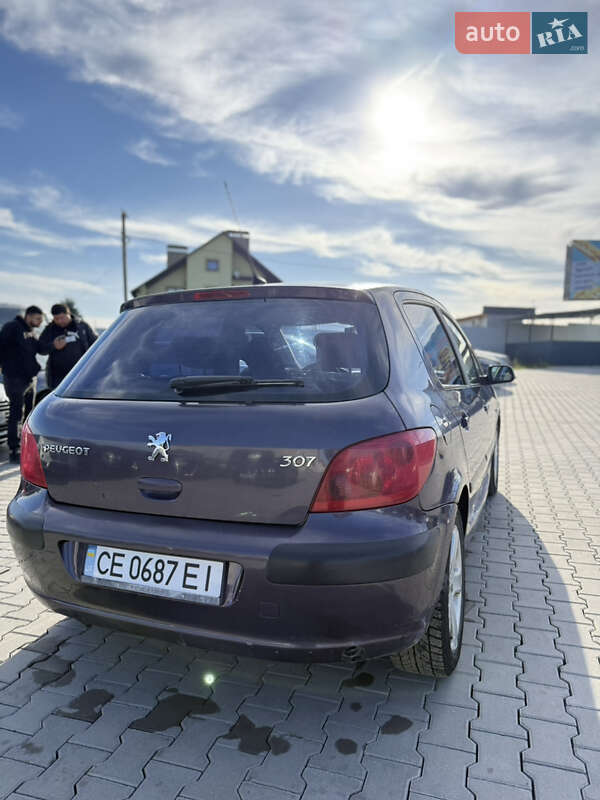 Хетчбек Peugeot 307 2002 в Кам'янець-Подільському