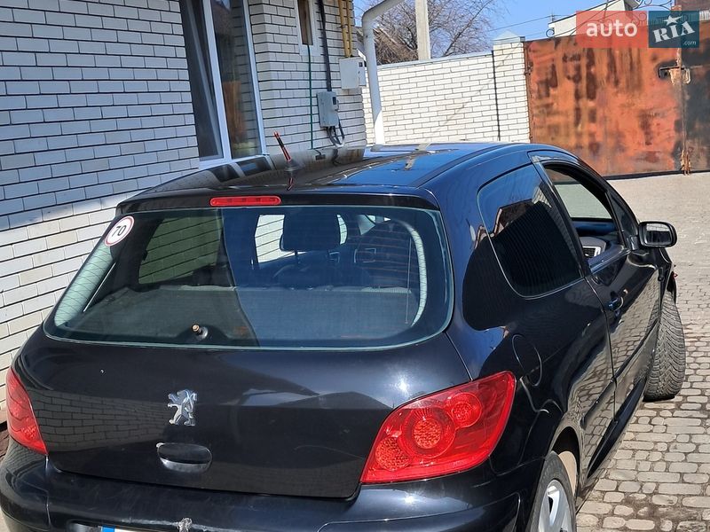 Хетчбек Peugeot 307 2006 в Житомирі