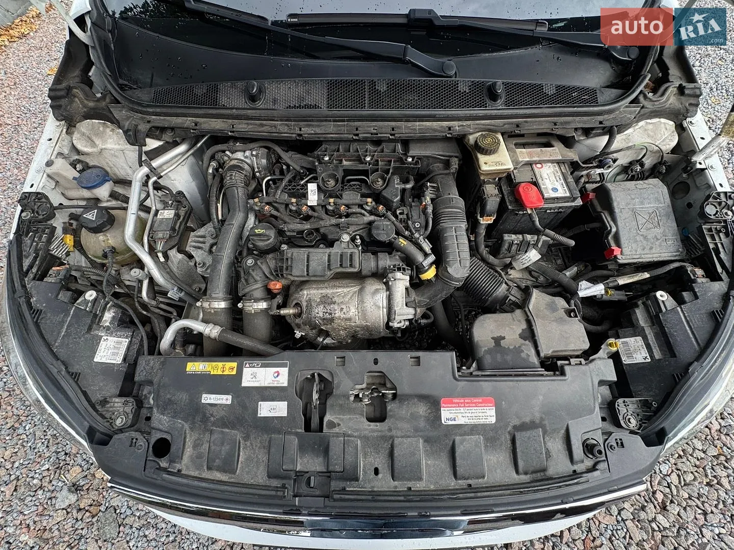 2019 Peugeot 308 - мініатюра 49