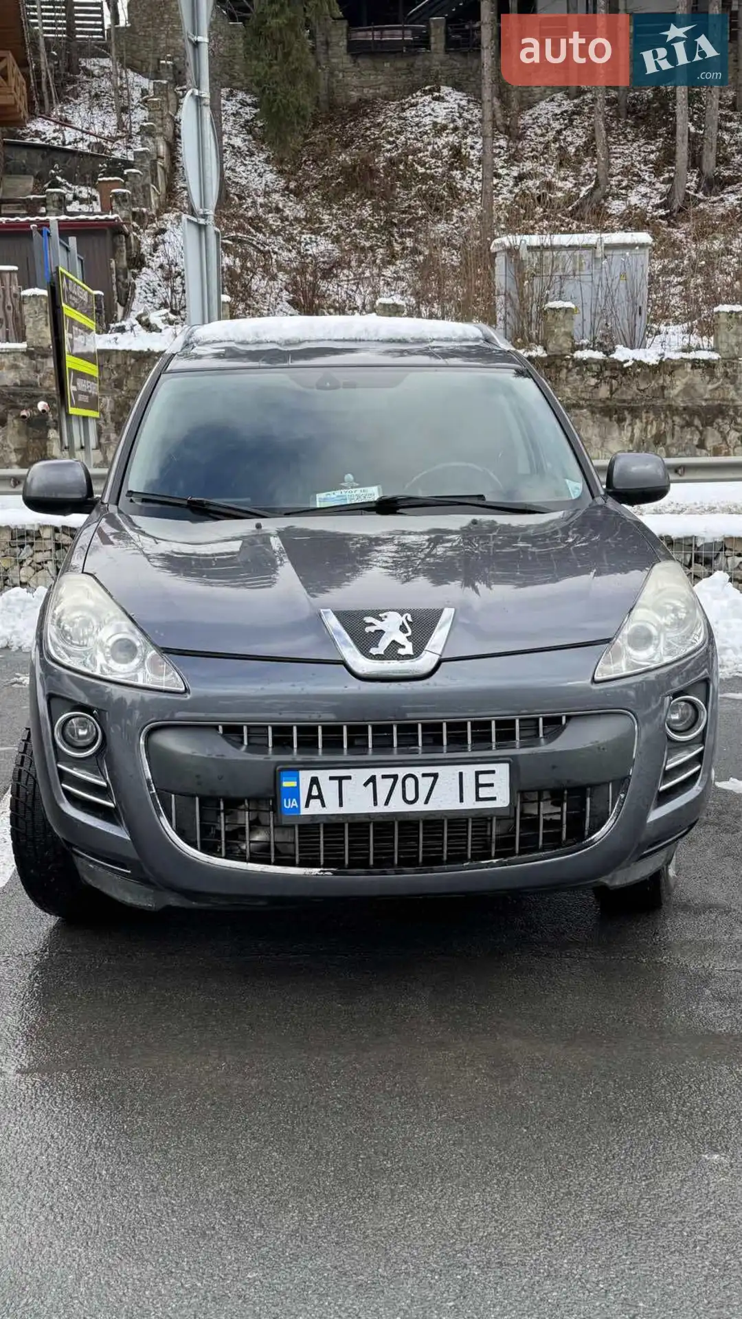 2010 Peugeot 4007 - фото 1