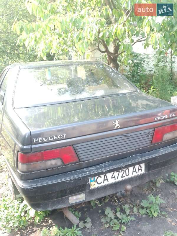 Peugeot 405 1989