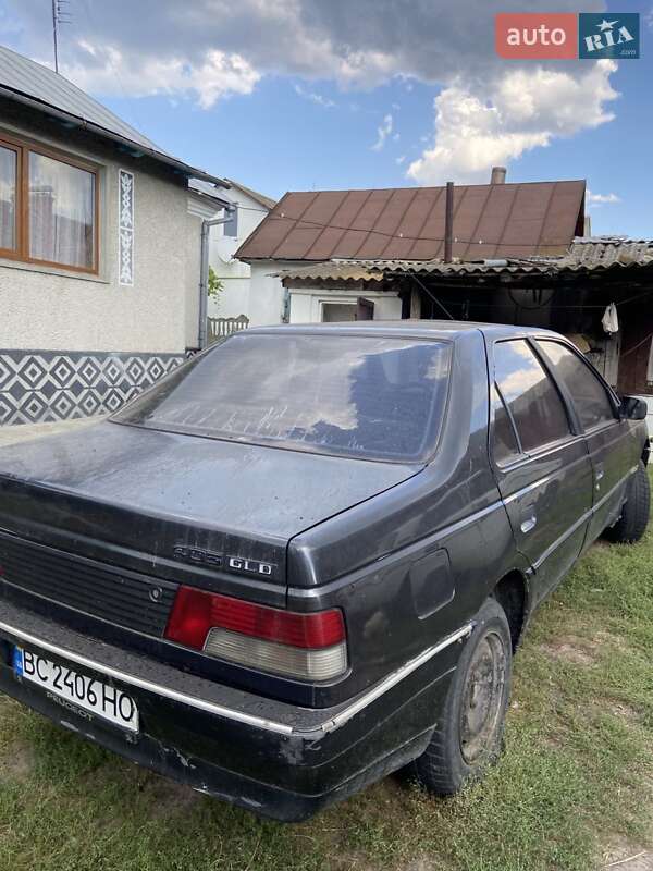 Седан Peugeot 405 1988 в Радивиліві