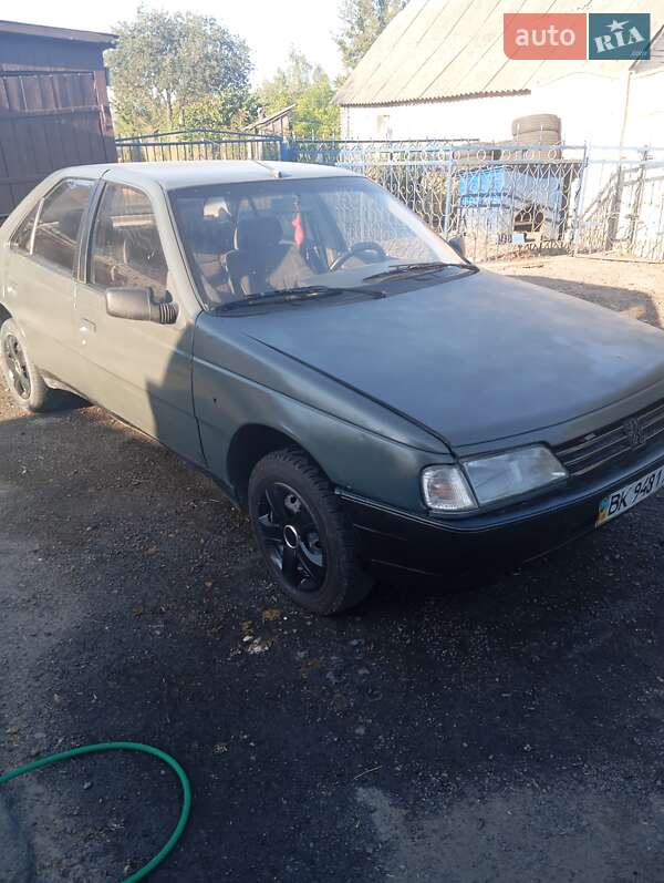 Peugeot 405 1989