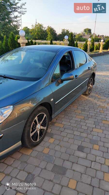 Peugeot 407 2004 Peugeot 407 2004