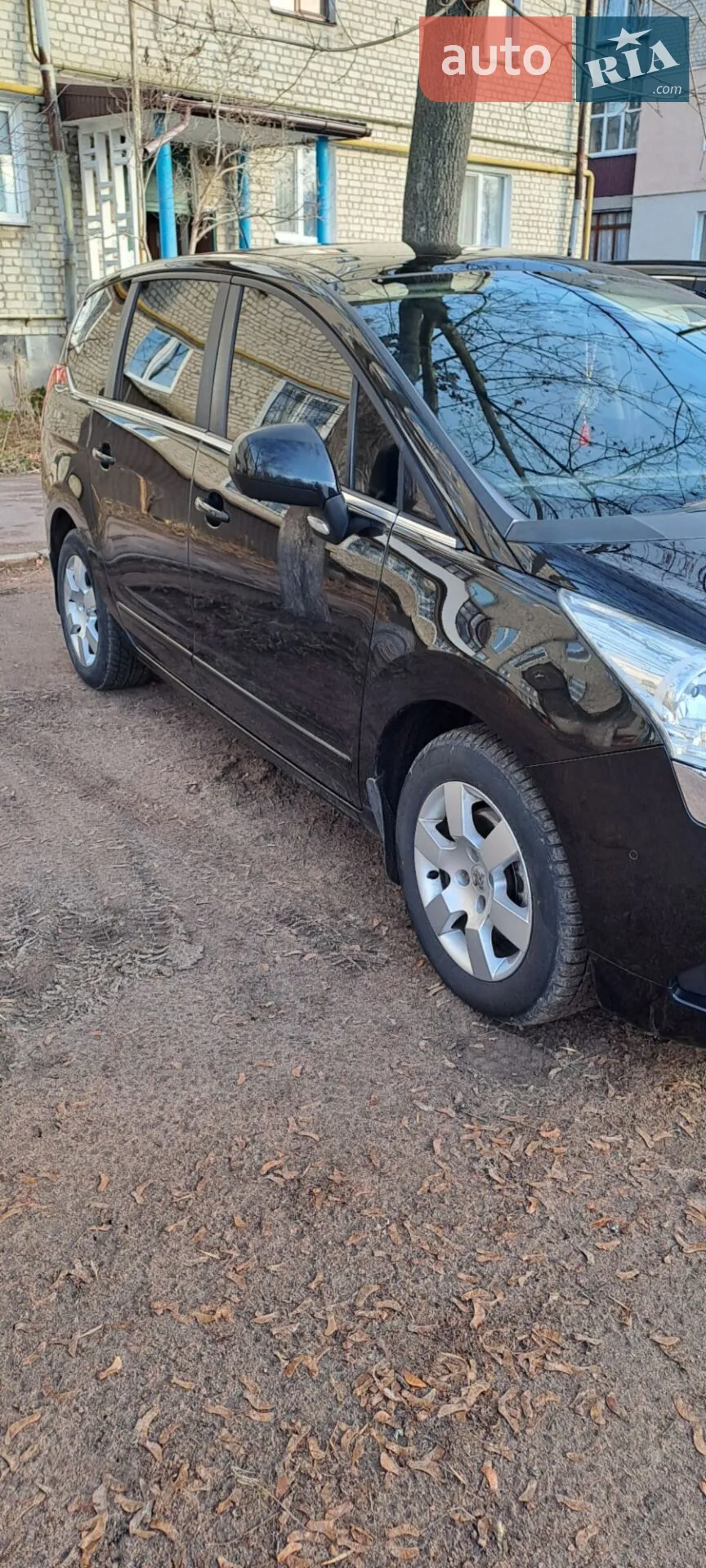 2010 Peugeot 5008 - мініатюра 18