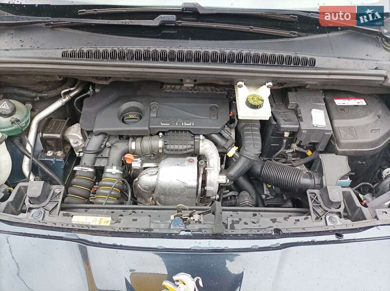 Мікровен Peugeot 5008 2015 в Бродах фото 24 Мікровен Peugeot 5008 2015 в Бродах