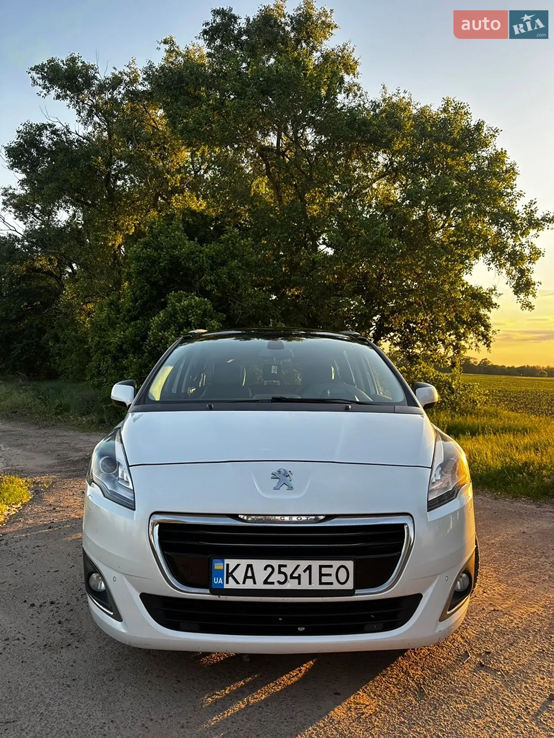 2014 Peugeot 5008 - фото 1