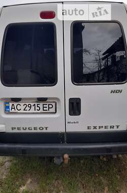 Минивэн Peugeot Expert 2004 в Ковеле