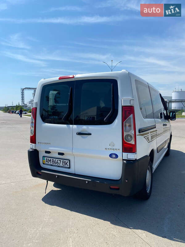 Минивэн Peugeot Expert 2007 в Коростене