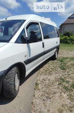 Мінівен Peugeot Expert 2004 в Городенці