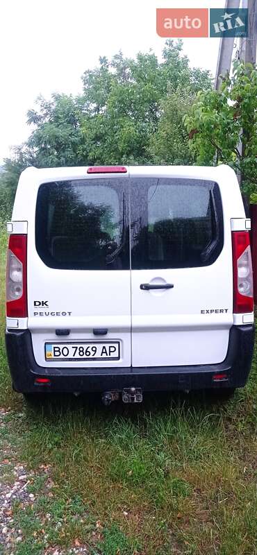 Мінівен Peugeot Expert 2007 в Тернополі
