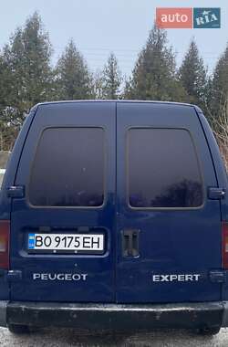 Вантажний фургон Peugeot Expert 1998 в Кременці