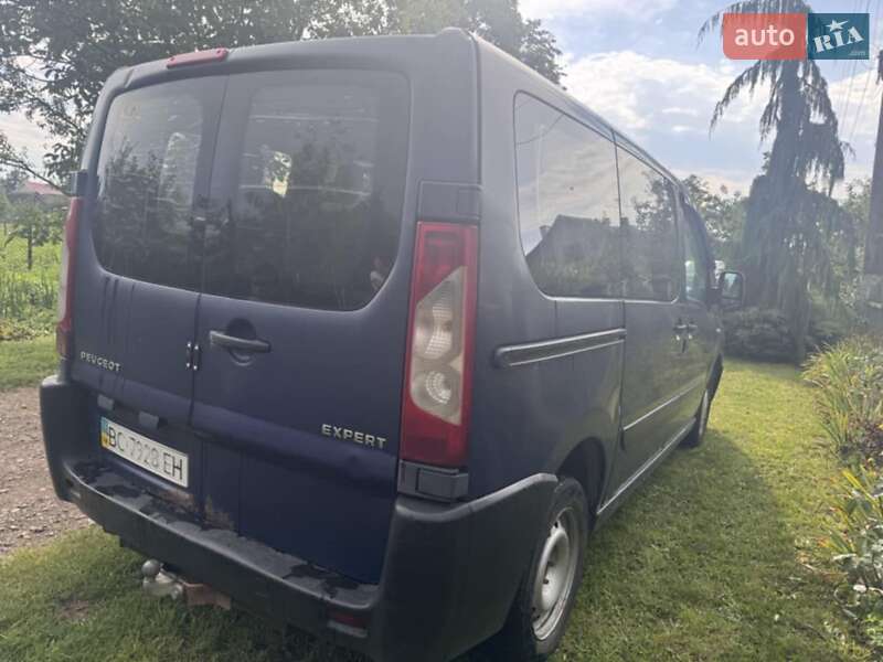 Мінівен Peugeot Expert 2009 в Івано-Франківську