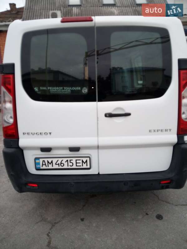 Грузовой фургон Peugeot Expert 2014 в Житомире