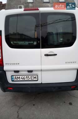 Грузовой фургон Peugeot Expert 2014 в 