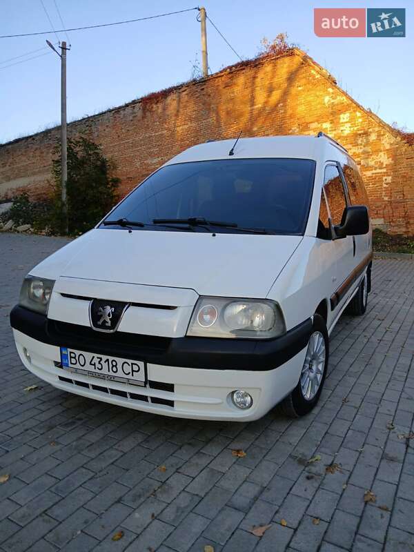 Минивэн Peugeot Expert 2005 в Кременце