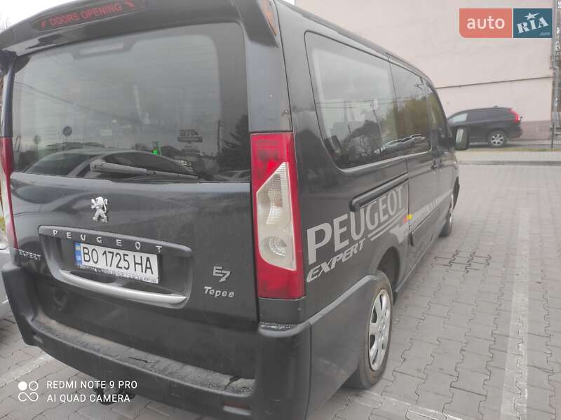 Минивэн Peugeot Expert 2008 в Теребовле фото 4 Минивэн Peugeot Expert 2008 в Теребовле