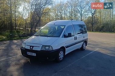 Мінівен Peugeot Expert 2005 в Житомирі